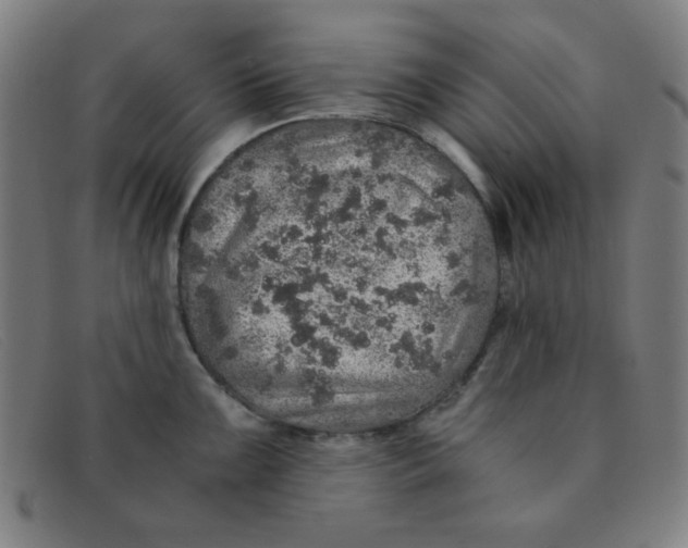 X0000091341099200708311451