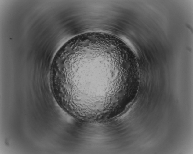 X0000091341100200708311451