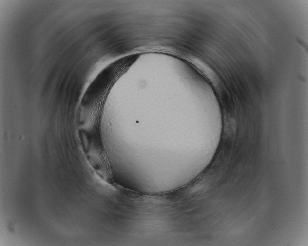 X0000091341102200708311451