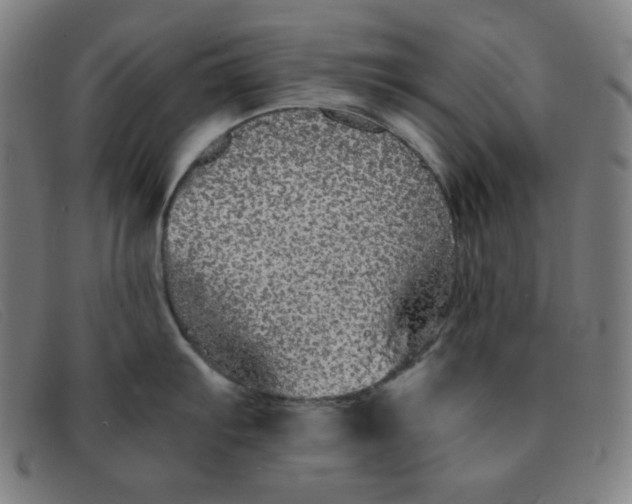 X0000091341103200708311451