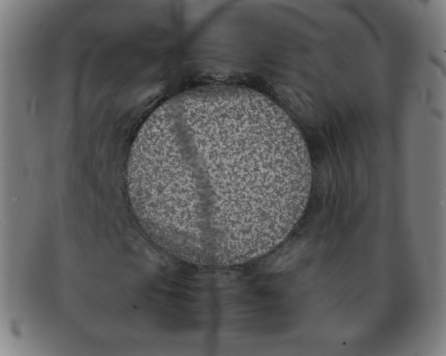 X0000091341105200708311450