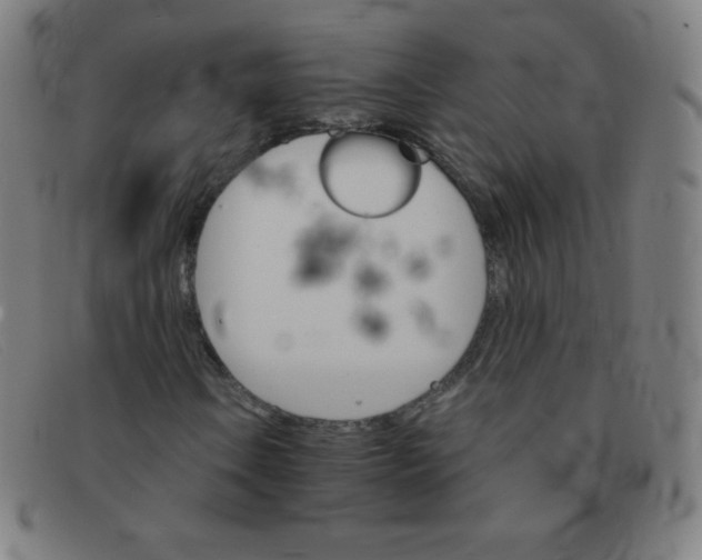 X0000091341106200708311450