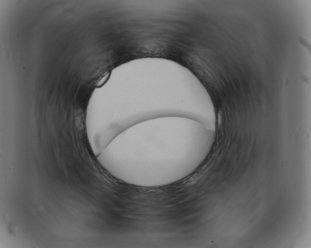 X0000091341107200708311450