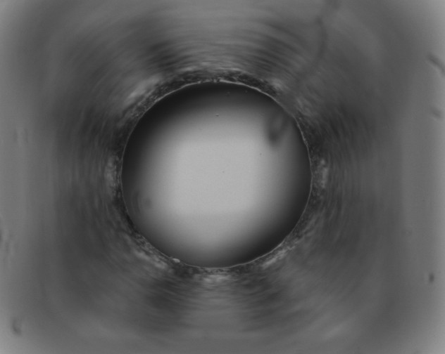 X0000091341110200708311450