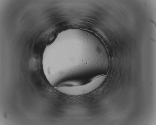 X0000091341111200708311450