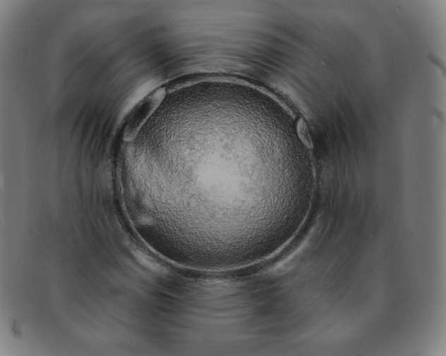 X0000091341114200708311451