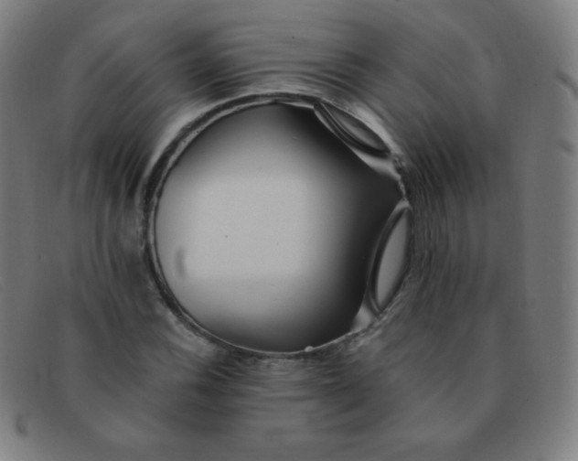 X0000091341116200708311451