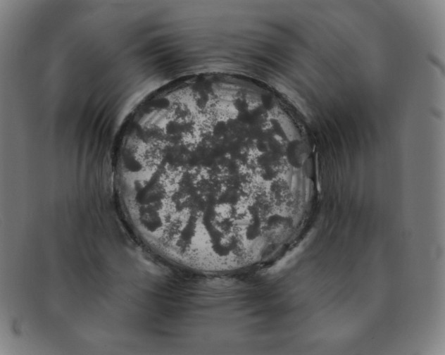 X0000091341117200708311451