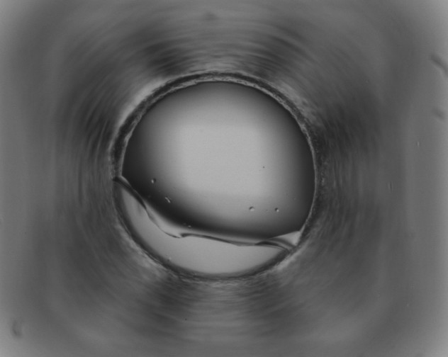 X0000091341118200708311451