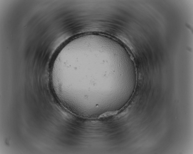 X0000091341119200708311451