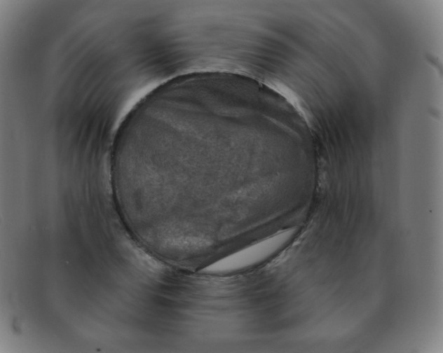 X0000091341120200708311451