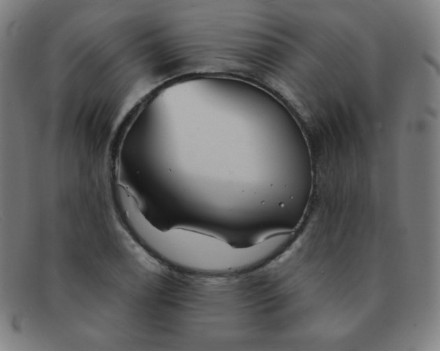 X0000091341122200708311451