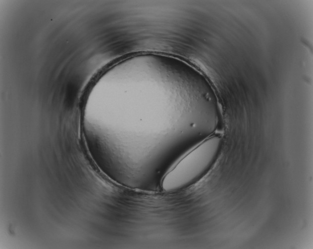 X0000091341123200708311451