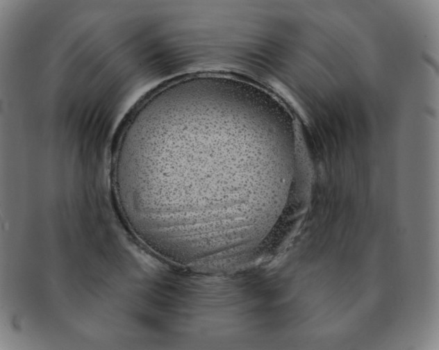 X0000091341124200708311451