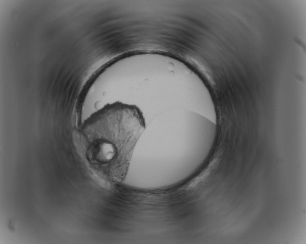 X0000091341125200708311451