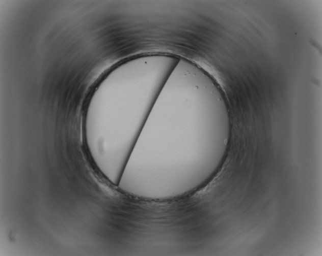 X0000091341127200708311451