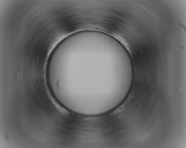 X0000091341128200708311451