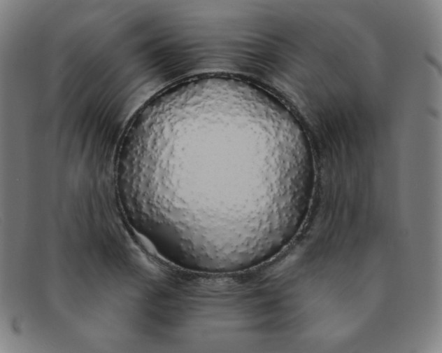 X0000091341129200708311451