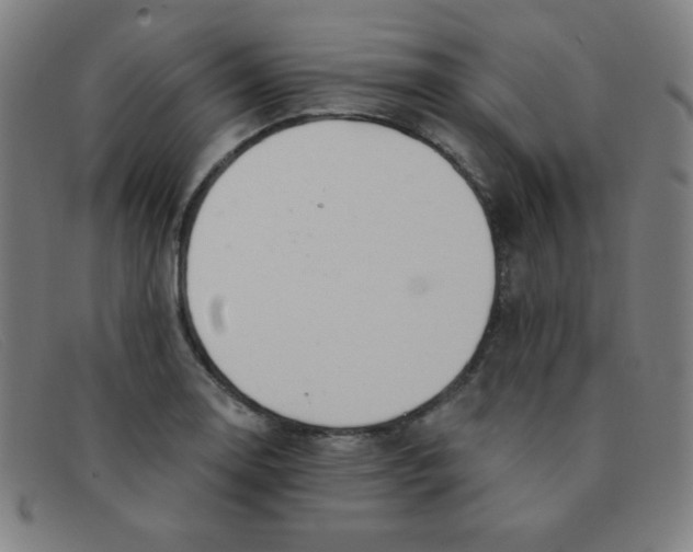 X0000091341130200708311451