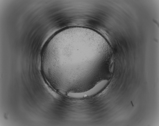 X0000091341131200708311451