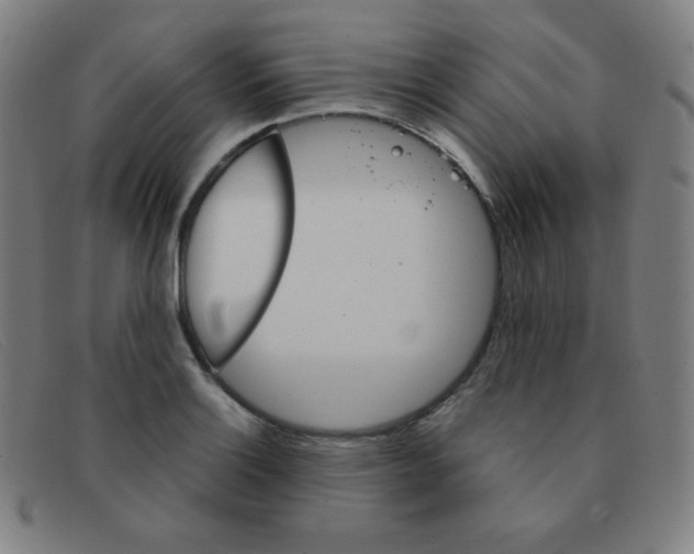 X0000091341132200708311451