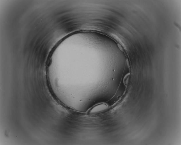 X0000091341133200708311451