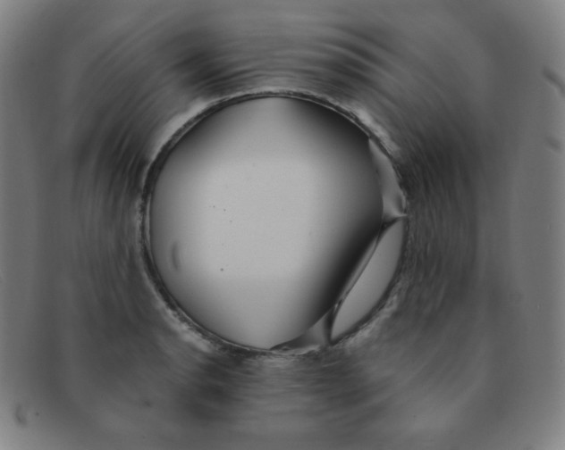 X0000091341134200708311451