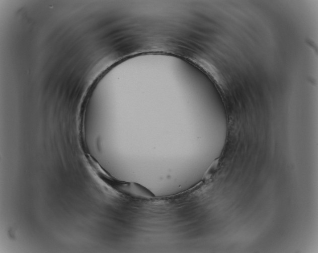 X0000091341135200708311451