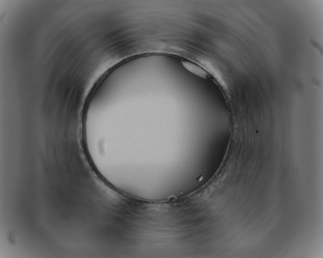 X0000091341136200708311451