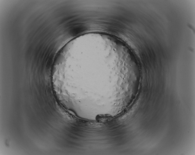 X0000091341137200708311451