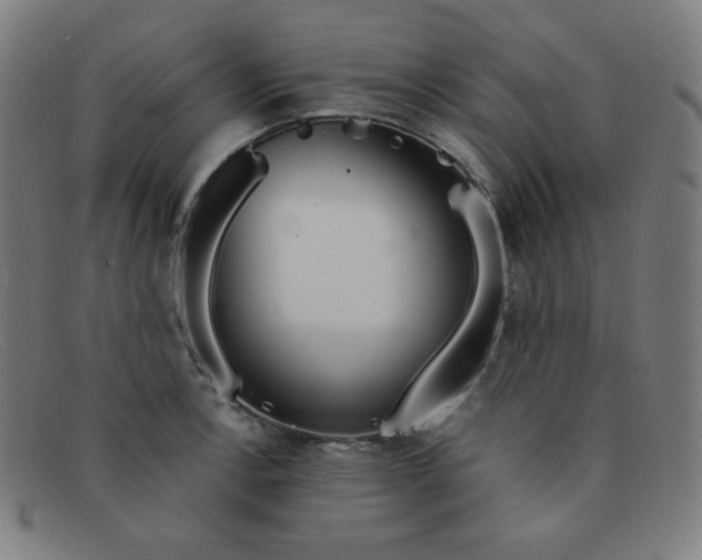 X0000091341138200708311451