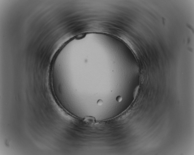 X0000091341139200708311451