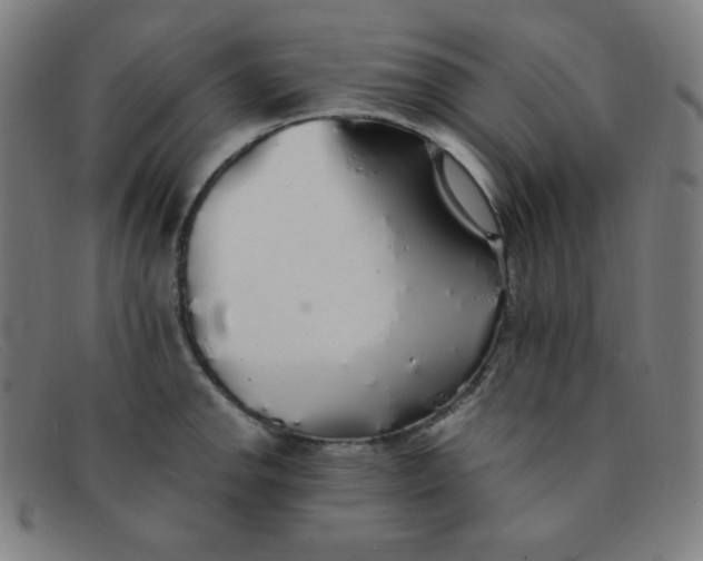 X0000091341142200708311451