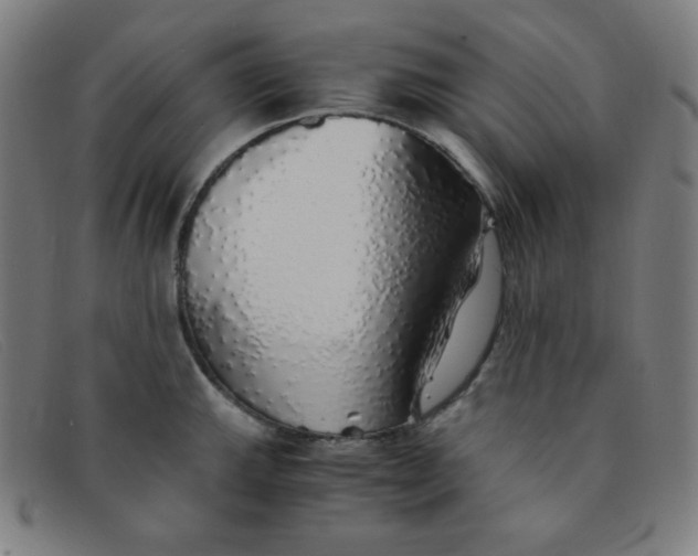 X0000091341143200708311451