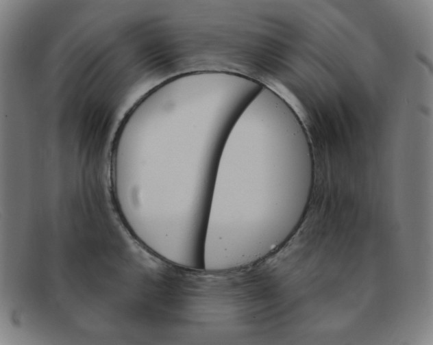 X0000091341144200708311451