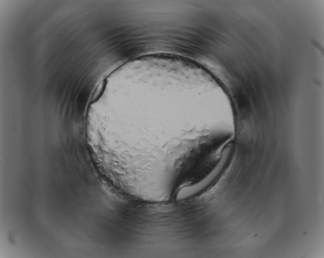 X0000091341145200708311451