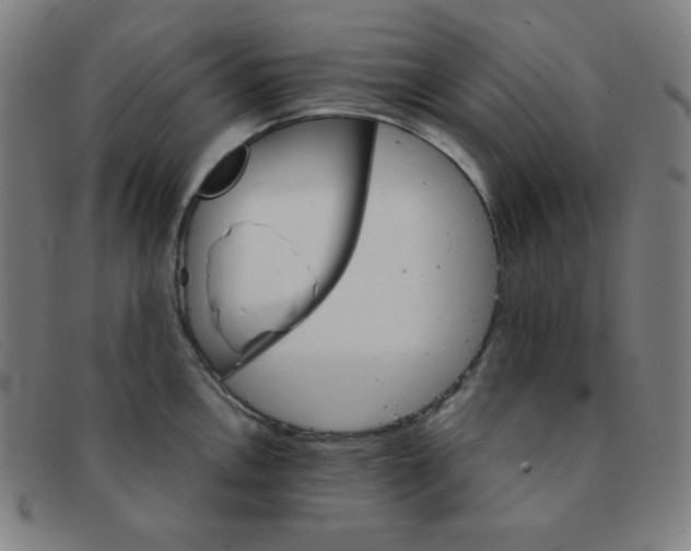 X0000091341146200708311451