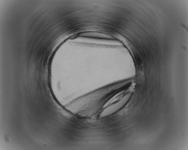 X0000091341147200708311451