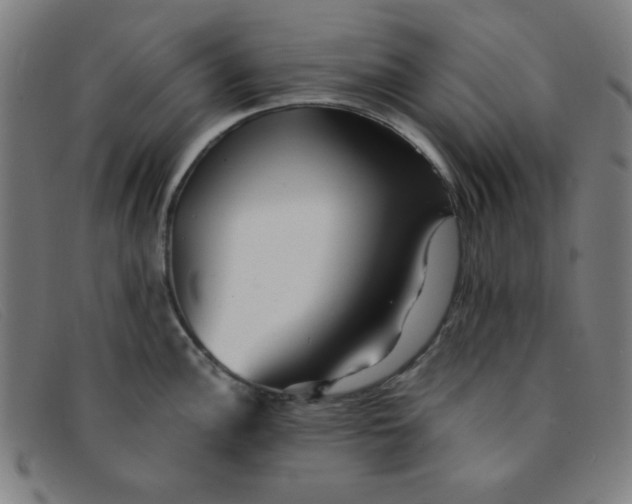 X0000091341148200708311451