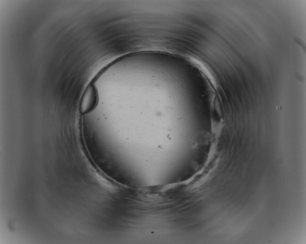 X0000091341149200708311451