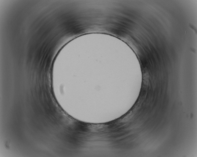 X0000091341150200708311451