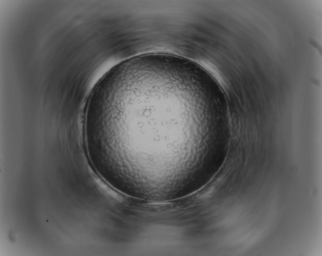 X0000091341151200708311451