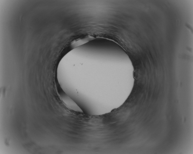 X0000091341153200708311450