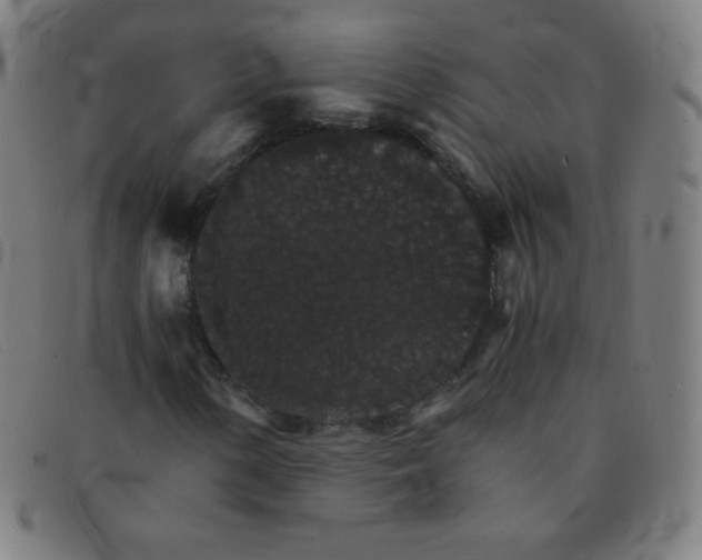 X0000091341154200708311450