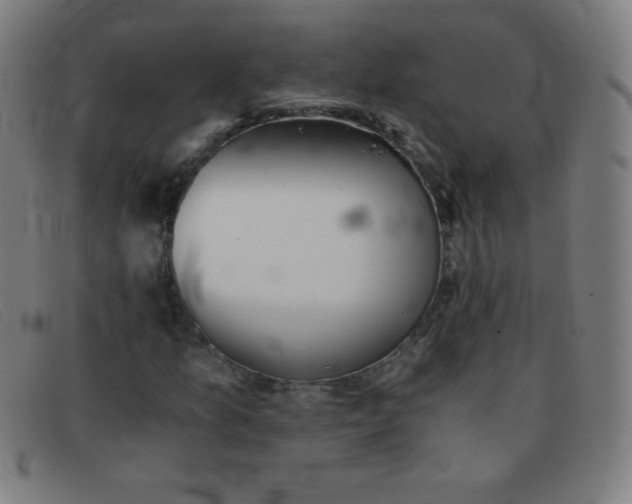 X0000091341157200708311450