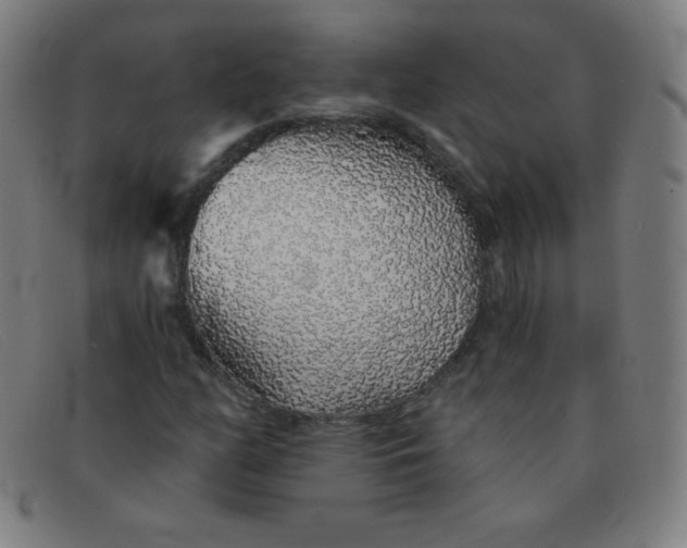 X0000091341158200708311450