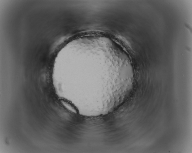 X0000091341159200708311450