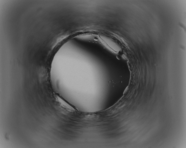 X0000091341160200708311450