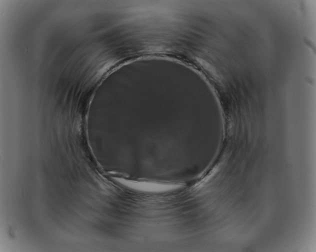 X0000091341161200708311450