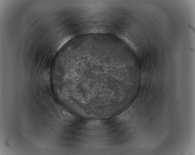 X0000091341162200708311450